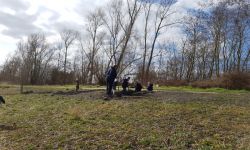 Plantations Cavalier   015